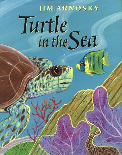 cover image Turtle in the Sea