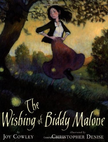 cover image THE WISHING OF BIDDY MALONE