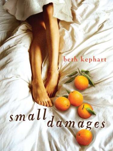 cover image Small Damages
