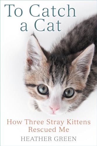 cover image To Catch a Cat: How Three Stray Kittens Rescued Me