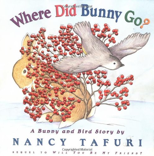 cover image Where Did Bunny Go?: A Bunny and Bird Story
