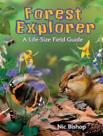 cover image Forest Explorer: A Life-Sized Field Guide