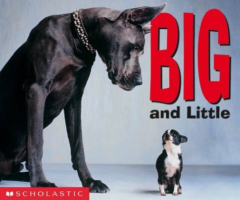cover image Big and Little