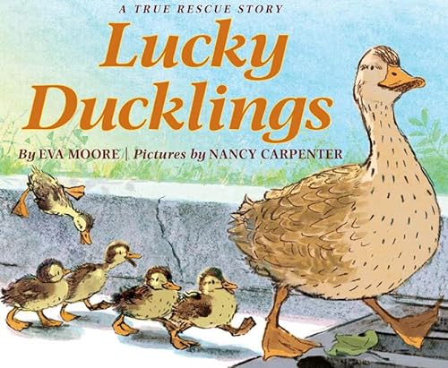 cover image Lucky Ducklings