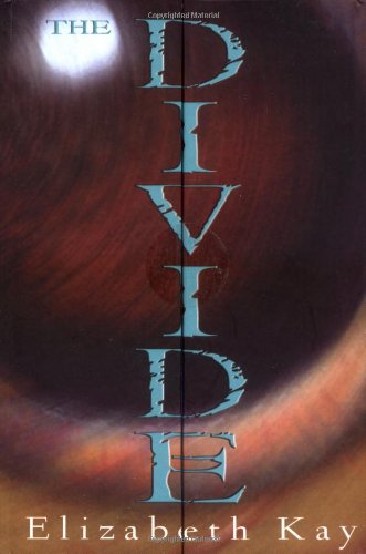 cover image THE DIVIDE