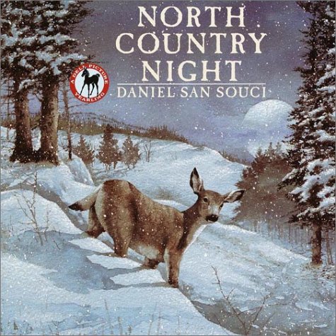 cover image North Country Night
