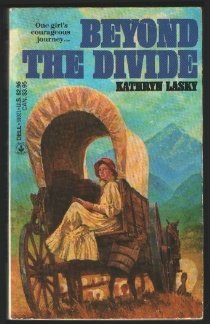 cover image Beyond the Divide