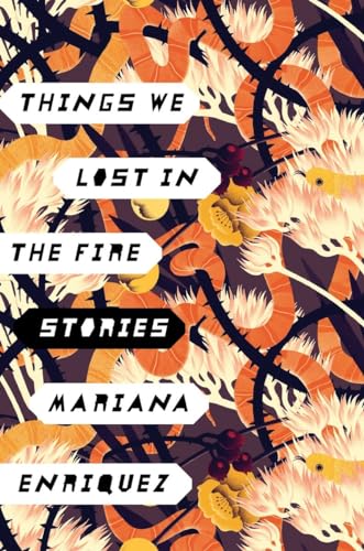 cover image Things We Lost in the Fire
