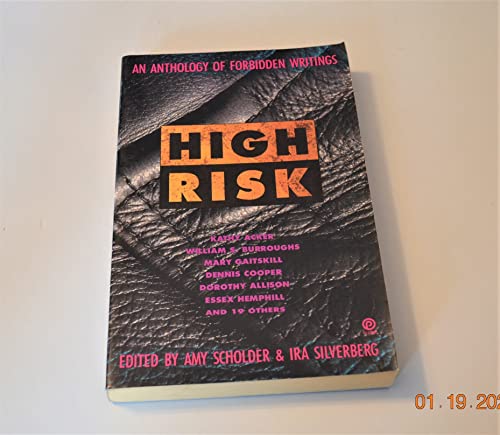 cover image High Risk: An Anthology of Forbidden Writings