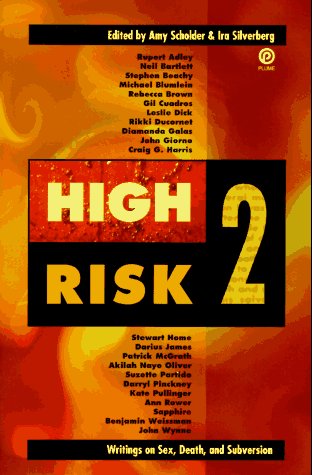cover image High Risk 2: Writings on Sex, Death, and Subversion