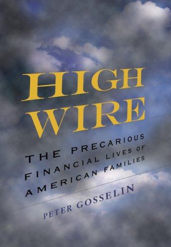 cover image High Wire: The Precarious Financial Lives of American Families