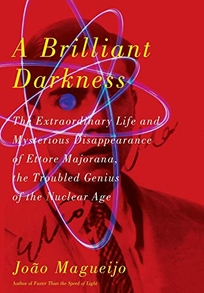 A Brilliant Darkness: The Extraordinary Life and Mysterious Disappearance of Ettore Majorana