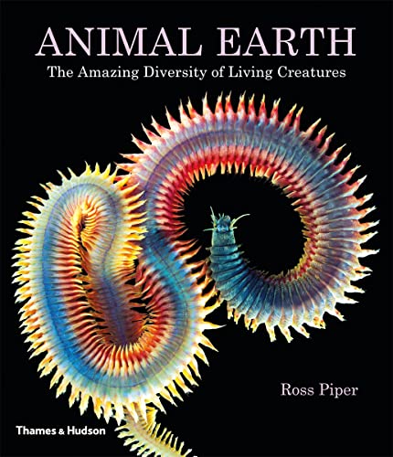 cover image Animal Earth: The Amazing Diversity of Living Creatures