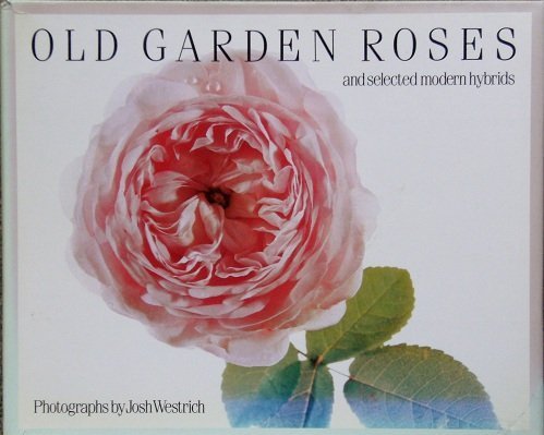 cover image Old Garden Roses and Selected Modern Hybrids: And Selected Modern Hybrids