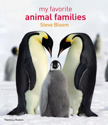 cover image My Favorite Animal Families