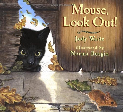 cover image Mouse, Look Out!: A Slide and Peek Book