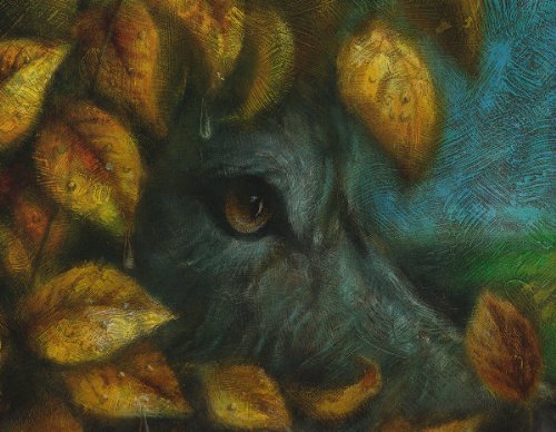 cover image Red Riding Hood