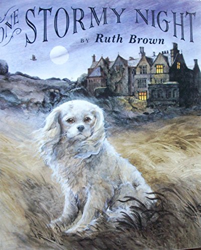 cover image One Stormy Night