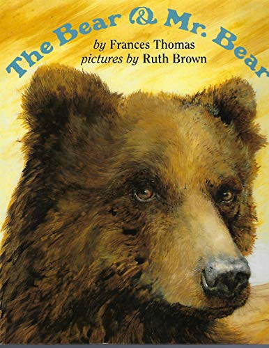 cover image The Bear and Mr. Bear