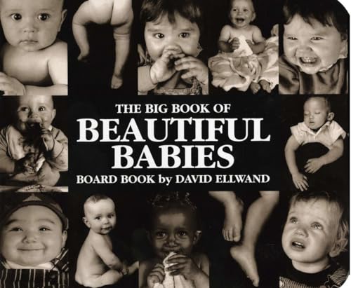 cover image Big Book of Beautiful Babies Board Book