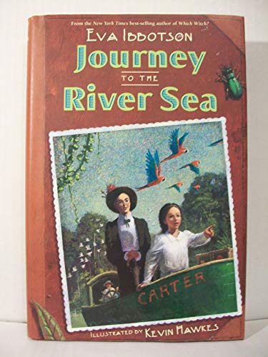 cover image JOURNEY TO THE RIVER SEA