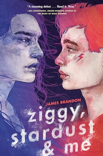cover image Ziggy, Stardust and Me