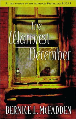 cover image The Warmest December