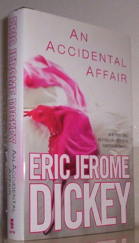 cover image An Accidental Affair