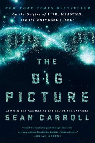 cover image The Big Picture: On the Origins of Life, Meaning, and the Universe Itself