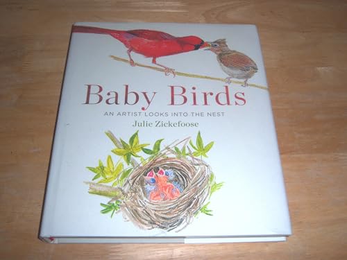 cover image Baby Birds: An Artist Looks into the Nest