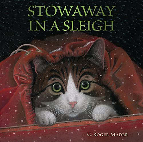 cover image Stowaway in a Sleigh