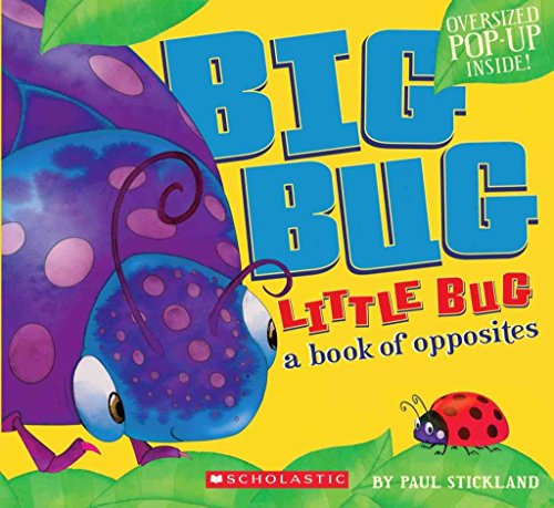 cover image Big Bug, Little Bug: A Book of Opposites