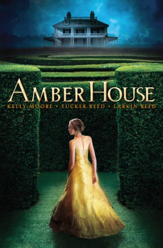 cover image Amber House