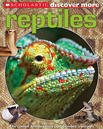cover image Scholastic Discover More: Reptiles