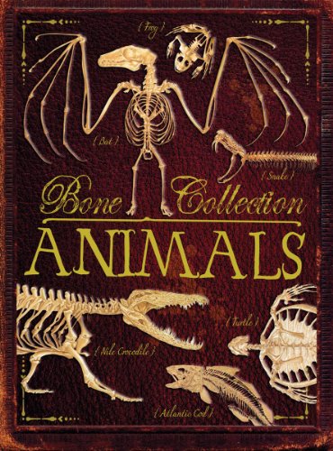 cover image Bone Collection: Animals 