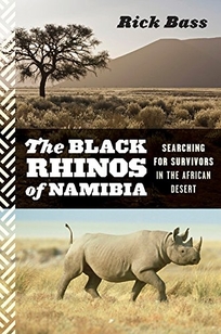 The Black Rhinos of Namibia: Searching for Survivors in the African Desert