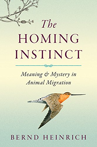 cover image The Homing Instinct: Meaning & Mystery in Animal Migration