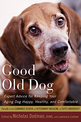 cover image Good Old Dog: Expert Advice for Keeping Your Aging Dog Happy, Healthy, and Comfortable