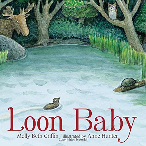 cover image Loon Baby