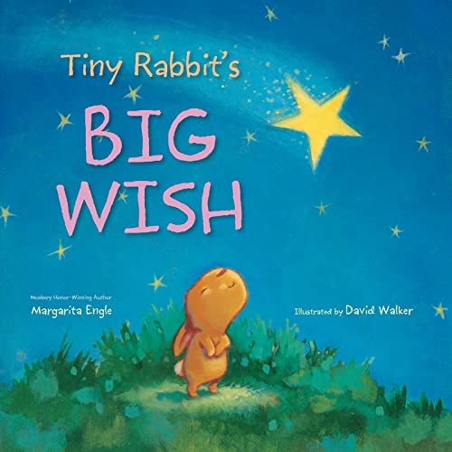 cover image Tiny Rabbit’s Big Wish
