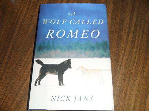 cover image A Wolf Called Romeo