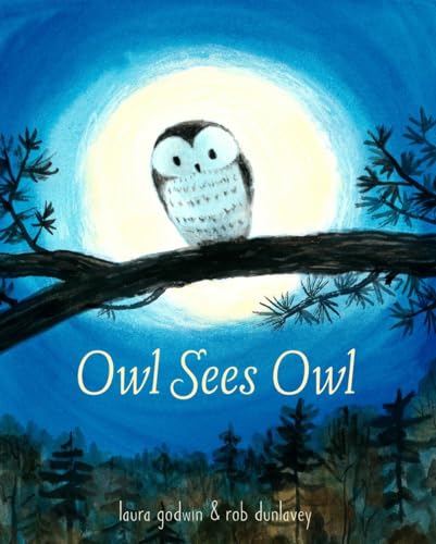 cover image Owl Sees Owl