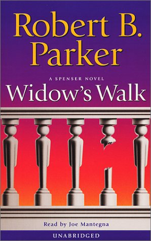 cover image WIDOW'S WALK