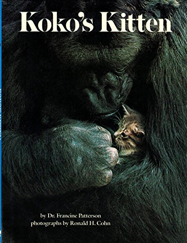 cover image Koko's Kitten