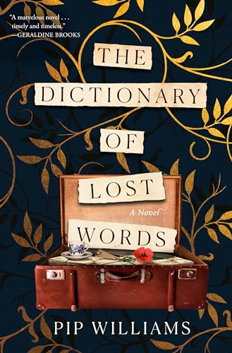 cover image The Dictionary of Lost Words