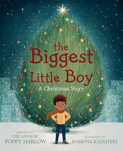 cover image The Biggest Little Boy: A Christmas Story