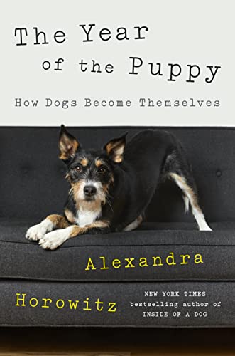 cover image The Year of the Puppy: How Dogs Become Themselves