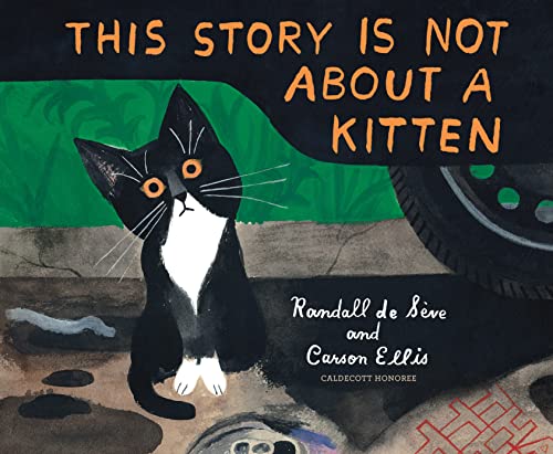 cover image This Story Is Not About a Kitten