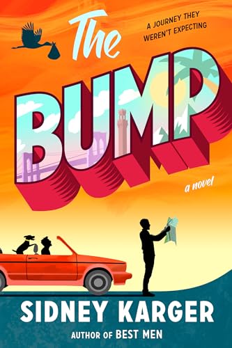 cover image The Bump