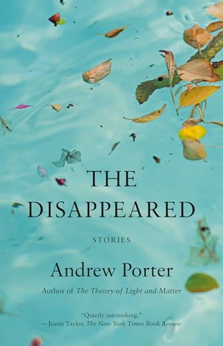 cover image The Disappeared: Stories